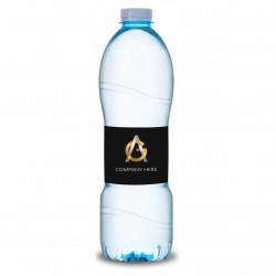 Garrafa de Água Personalizada. Lindoya 510ml - Natural