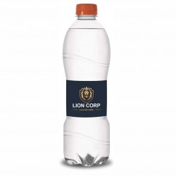 Garrafa de Água Personalizada. Lindoya 510ml - Com gás