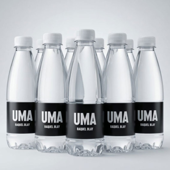 Garrafa de Água Personalizada Lindoya 300ml Natural