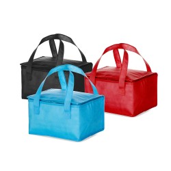 Bolsa térmica 10 Litros DR 699